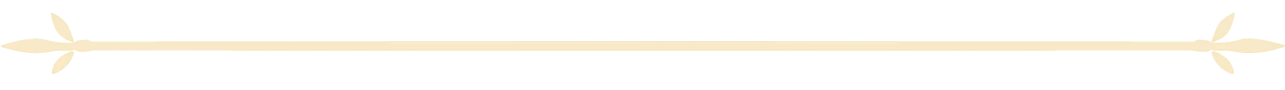 1781168796_divider.webp